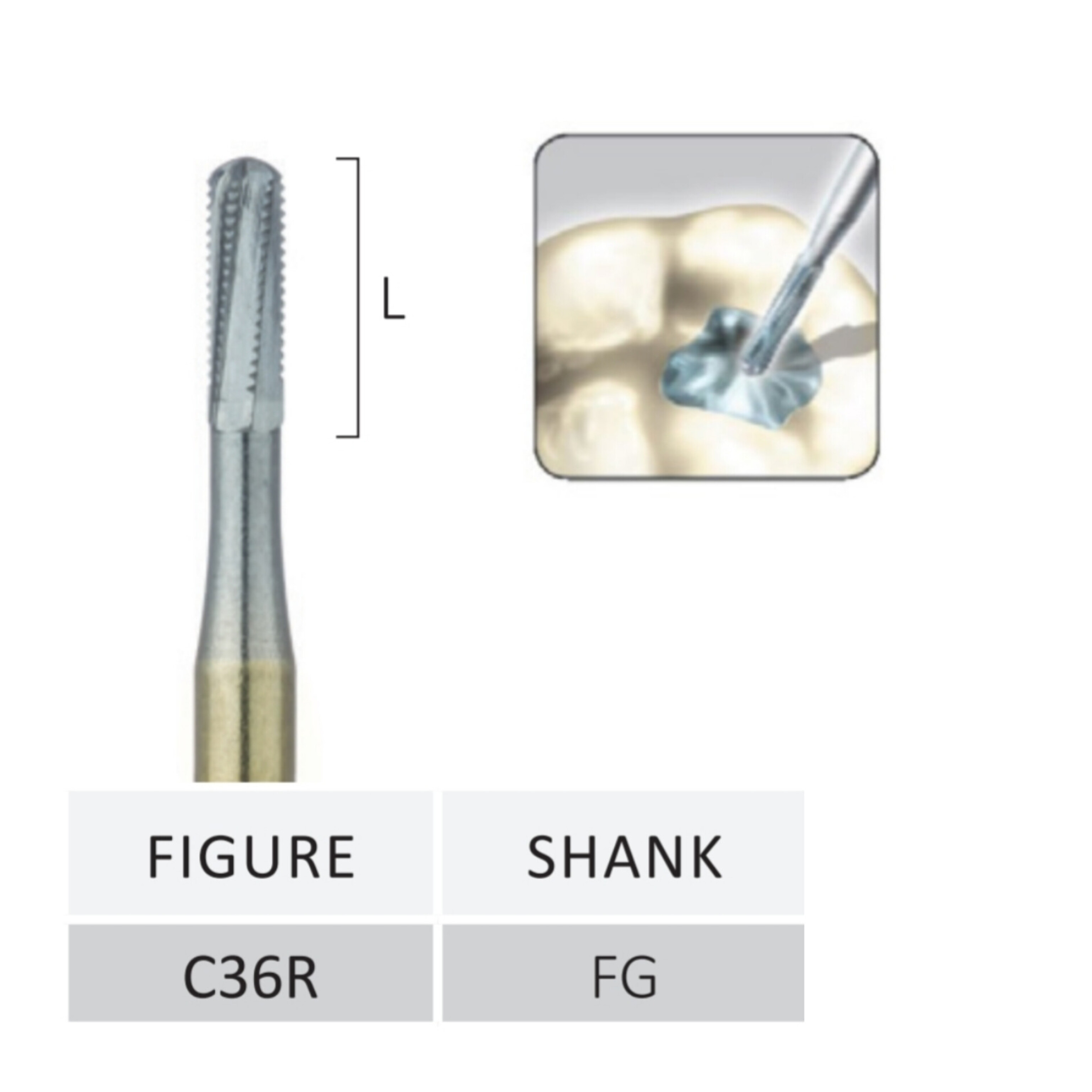 فرز کارباید برداشت آمالگام مخصوص توربین جوتا JOTA کد C36R.FG
