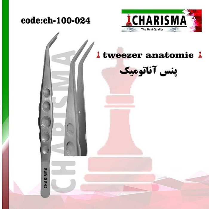 پنس آناتومیک کاریزما CHARISMA کد CH-100-024