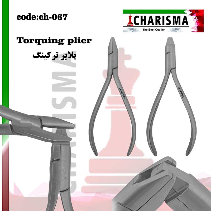 پلایر ترکینگ کاریزما CHARISMA(2عددی) کد ch-067