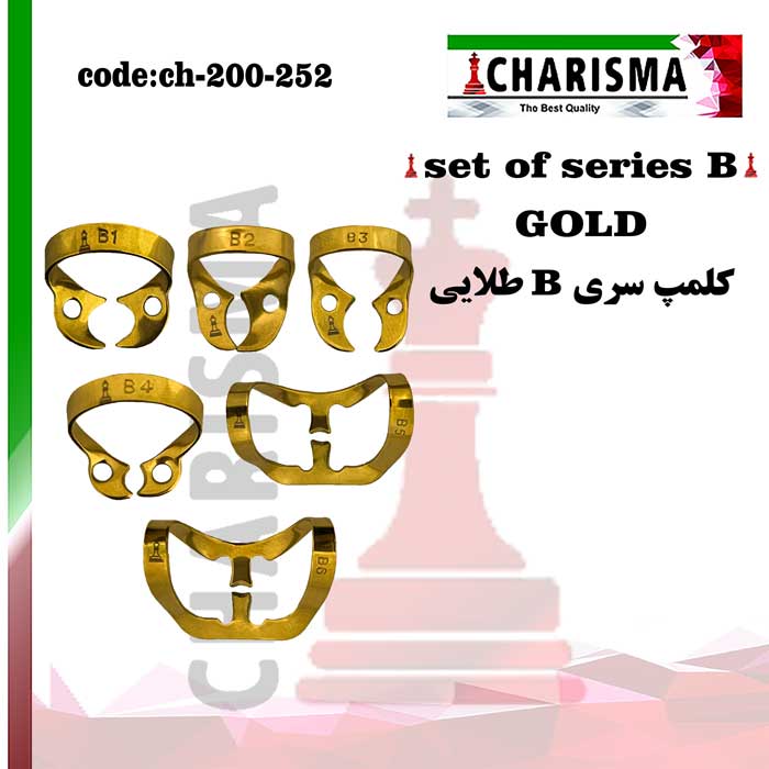 ست کلمپ رابردم سری B تیتانیومی کاریزما CHARISMA (2رنگ)